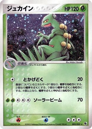 Sceptile (003/055) - ADV Expansion Pack Unlimited Holofoil ADV Expansion Pack Pokemon Japanese Single  Squirtle Squad Card Shop.