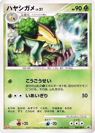 Grotle - 034/DP-P (034/DP-P) - DPP Promotional cards DP-P Promotional cards Pokemon Japanese Single  Squirtle Squad Card Shop.