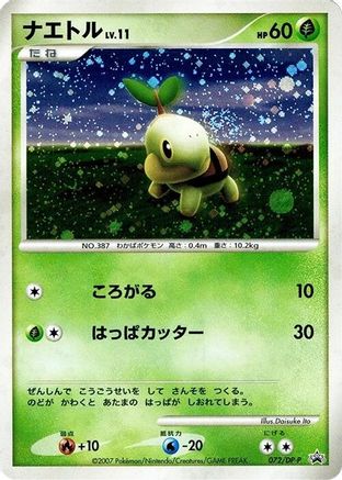 Turtwig - 072/DP-P (072/DP-P) - DPP Promotional cards Holofoil DP-P Promotional cards Pokemon Japanese Single  Squirtle Squad Card Shop.