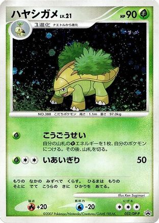 Grotle - 052/DP-P (052/DP-P) - DPP Promotional cards Holofoil DP-P Promotional cards Pokemon Japanese Single  Squirtle Squad Card Shop.