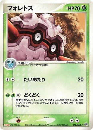 Forretress - 101/PCG-P (101/PCG-P) - PCGP Promotional cards PCG-P Promotional cards Pokemon Japanese Single  Squirtle Squad Card Shop.