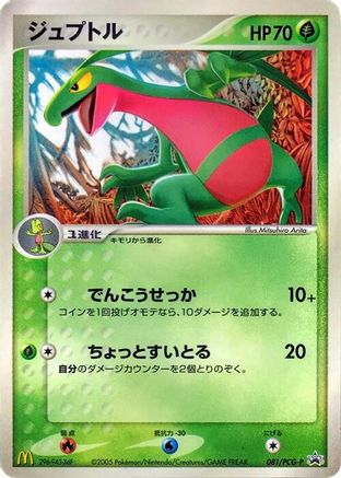 Grovyle - 081/PCG-P (081/PCG-P) - PCGP Promotional cards PCG-P Promotional cards Pokemon Japanese Single  Squirtle Squad Card Shop.