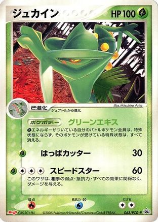Sceptile - 063/PCG-P (063/PCG-P) - PCGP Promotional cards PCG-P Promotional cards Pokemon Japanese Single  Squirtle Squad Card Shop.