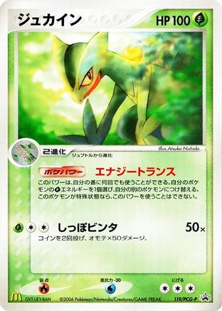 Sceptile - 119/PCG-P (119/PCG-P) - PCGP Promotional cards PCG-P Promotional cards Pokemon Japanese Single  Squirtle Squad Card Shop.