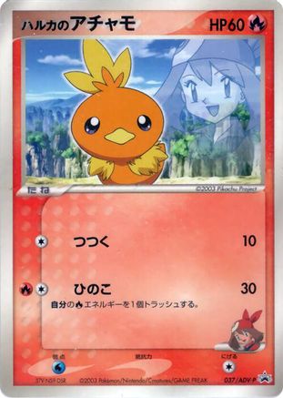 May's Torchic - 037/ADV-P (037/ADV-P) - ADVP Promotional cards ADV-P Promotional cards Pokemon Japanese Single  Squirtle Squad Card Shop.