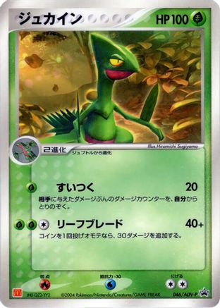 Sceptile - 046/ADV-P (046/ADV-P) - ADVP Promotional cards ADV-P Promotional cards Pokemon Japanese Single  Squirtle Squad Card Shop.