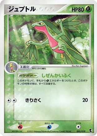 Grovyle - 005/019 (005/019) - Treecko Constructed Starter Deck Unlimited Treecko Constructed Starter Deck Pokemon Japanese Single  Squirtle Squad Card Shop.