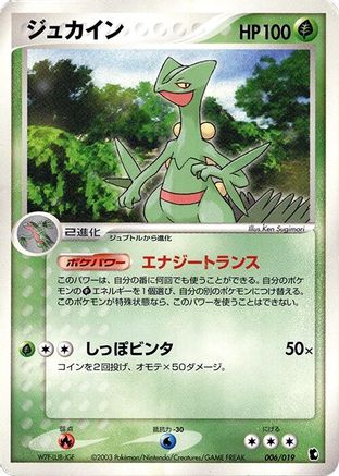 Sceptile (006/019) - Treecko Constructed Starter Deck Unlimited Treecko Constructed Starter Deck Pokemon Japanese Single  Squirtle Squad Card Shop.