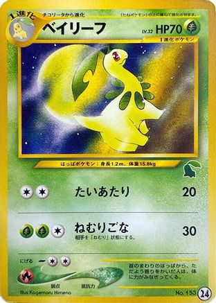 Bayleef (24) - Intro Pack Neo Chikorita Intro Pack Neo (Chikorita) Pokemon Japanese Single  Squirtle Squad Card Shop.
