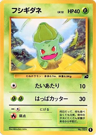 Bulbasaur - 1 (1) - Intro Pack Bulbasaur Intro Pack (Bulbasaur) Pokemon Japanese Single  Squirtle Squad Card Shop.