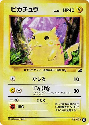 Pikachu - 13 (13) - Intro Pack Bulbasaur Intro Pack (Bulbasaur) Pokemon Japanese Single  Squirtle Squad Card Shop.