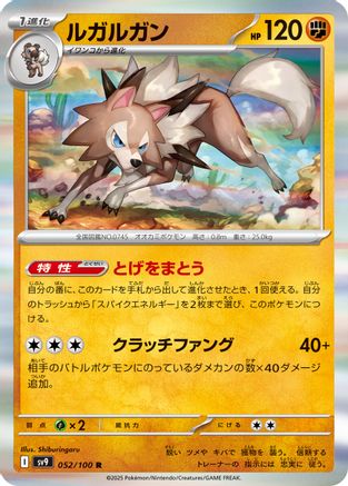 Lycanroc (052/100) - SV9 Battle Partners SV9: Battle Partners Pokemon Japanese Single  Squirtle Squad Card Shop.