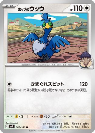 Hop's Cramorant (087/100) - SV9 Battle Partners SV9: Battle Partners Pokemon Japanese Single  Squirtle Squad Card Shop.