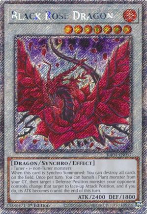 Black Rose Dragon (Platinum Secret Rare) (RA04-EN057) - Quarter Century Stampede 1st Edition Quarter Century Stampede Yugioh Single  Squirtle Squad Card Shop.