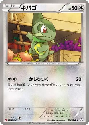 Axew - 050/BW-P (050/BW-P) - BWP Promotional cards BW-P Promotional cards Pokemon Japanese Single  Squirtle Squad Card Shop.