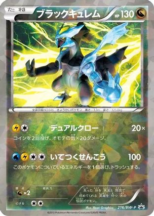 Black Kyurem - 216/BW-P (216/BW-P) - BWP Promotional cards Holofoil BW-P Promotional cards Pokemon Japanese Single  Squirtle Squad Card Shop.
