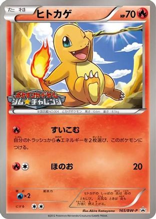 Charmander - 165/BW-P (165/BW-P) - BWP Promotional cards BW-P Promotional cards Pokemon Japanese Single  Squirtle Squad Card Shop.