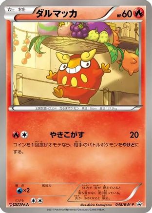 Darumaka - 048/BW-P (048/BW-P) - BWP Promotional cards BW-P Promotional cards Pokemon Japanese Single  Squirtle Squad Card Shop.