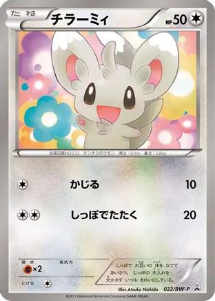 Minccino - 022/BW-P (022/BW-P) - BWP Promotional cards BW-P Promotional cards Pokemon Japanese Single  Squirtle Squad Card Shop.