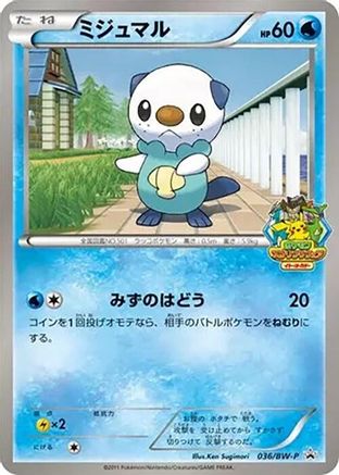 Oshawott - 036/BW-P (036/BW-P) - BWP Promotional cards BW-P Promotional cards Pokemon Japanese Single  Squirtle Squad Card Shop.