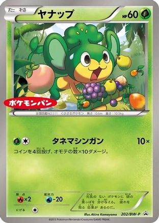 Pansage - 202/BW-P (202/BW-P) - BWP Promotional cards BW-P Promotional cards Pokemon Japanese Single  Squirtle Squad Card Shop.