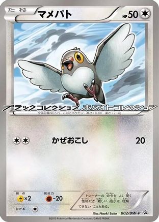 Pidove - 002/BW-P (002/BW-P) - BWP Promotional cards BW-P Promotional cards Pokemon Japanese Single  Squirtle Squad Card Shop.