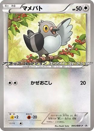 Pidove - 005/BW-P (005/BW-P) - BWP Promotional cards BW-P Promotional cards Pokemon Japanese Single  Squirtle Squad Card Shop.