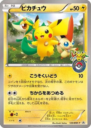 Pikachu - 120/BW-P (120/BW-P) - BWP Promotional cards BW-P Promotional cards Pokemon Japanese Single  Squirtle Squad Card Shop.