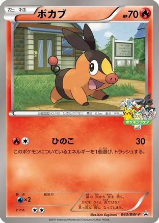Tepig - 043/BW-P (043/BW-P) - BWP Promotional cards BW-P Promotional cards Pokemon Japanese Single  Squirtle Squad Card Shop.