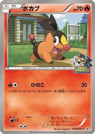 Tepig - 079/BW-P (079/BW-P) - BWP Promotional cards BW-P Promotional cards Pokemon Japanese Single  Squirtle Squad Card Shop.