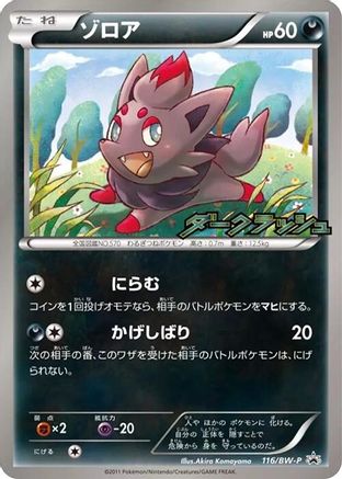 Zorua - 116/BW-P (116/BW-P) - BWP Promotional cards BW-P Promotional cards Pokemon Japanese Single  Squirtle Squad Card Shop.