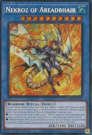 Nekroz of Areadbhair (BLMM-EN135) - Battles of Legend: Monster Mayhem 1st Edition Battles of Legend: Monster Mayhem Yugioh Single  Squirtle Squad Card Shop.