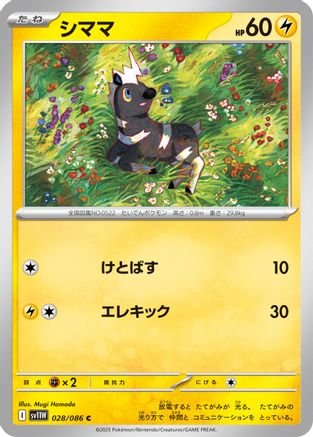 Blitzle - 028/086 (028/086) - SV11W White Flare SV11W: White Flare Pokemon Japanese Single  Squirtle Squad Card Shop.