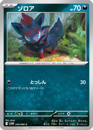Zorua - 058/086 (058/086) - SV11W White Flare SV11W: White Flare Pokemon Japanese Single  Squirtle Squad Card Shop.