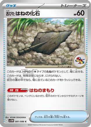 Antique Plume Fossil (081/086) - SV11W White Flare SV11W: White Flare Pokemon Japanese Single  Squirtle Squad Card Shop.