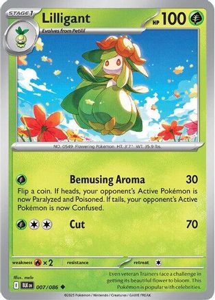 Lilligant 007  SV Black Bolt - Uncommon SV: Black Bolt Pokemon Single  Squirtle Squad Card Shop.