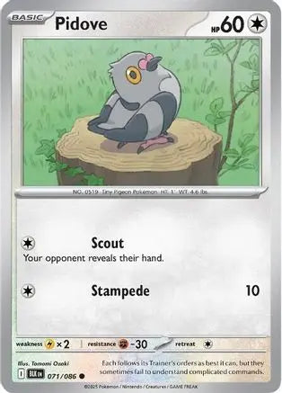 Pidove 071  - Reverse Holofoil SV Black Bolt - Common