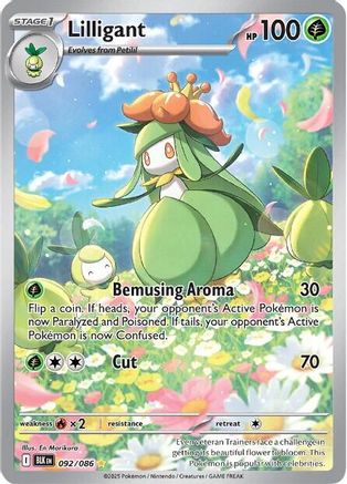 Lilligant 092/086  - Holofoil SV Black Bolt - Illustration Rare SV: Black Bolt Pokemon Single  Squirtle Squad Card Shop.