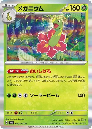 Meganium (005/063) - m1S Mega Symphonia Holofoil m1S: Mega Symphonia Pokemon Japanese Single  Squirtle Squad Card Shop.
