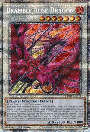 Bramble Rose Dragon (Starlight Rare) (DOOD-EN039) - Doom of Dimensions 1st Edition Doom of Dimensions Yugioh Single  Squirtle Squad Card Shop.