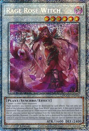 Rage Rose Witch (Starlight Rare) (DOOD-EN040) - Doom of Dimensions 1st Edition Doom of Dimensions Yugioh Single  Squirtle Squad Card Shop.