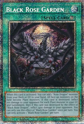 Black Rose Garden (Starlight Rare) (DOOD-EN055) - Doom of Dimensions 1st Edition Doom of Dimensions Yugioh Single  Squirtle Squad Card Shop.