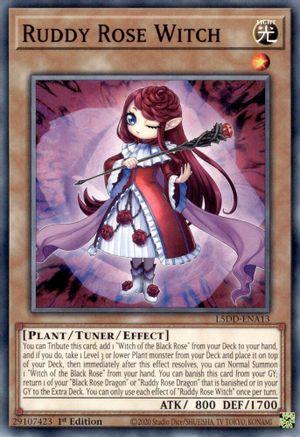 Ruddy Rose Witch (L5DD-ENA13) - Legendary 5D's Decks 1st Edition Legendary 5D's Decks Yugioh Single  Squirtle Squad Card Shop.