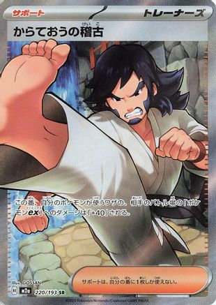 Black Belt's Training (220/193) - M2a High Class Pack MEGA Dream ex Holofoil M2a: High Class Pack: MEGA Dream ex Pokemon Japanese Single  Squirtle Squad Card Shop.