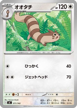 Furret (571/742) - Start Deck 100 Battle Collection Start Deck 100 Battle Collection Pokemon Japanese Single  Squirtle Squad Card Shop.