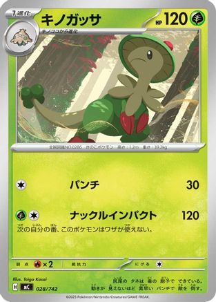 Breloom - 028/742 (028/742) - Start Deck 100 Battle Collection Start Deck 100 Battle Collection Pokemon Japanese Single  Squirtle Squad Card Shop.