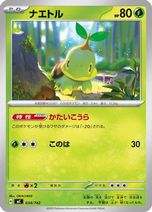 Turtwig (034/742) - Start Deck 100 Battle Collection Start Deck 100 Battle Collection Pokemon Japanese Single  Squirtle Squad Card Shop.