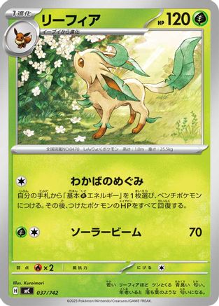 Leafeon (037/742) - Start Deck 100 Battle Collection Start Deck 100 Battle Collection Pokemon Japanese Single  Squirtle Squad Card Shop.