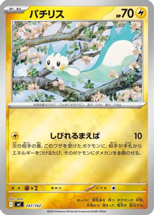 Pachirisu (247/742) - Start Deck 100 Battle Collection Start Deck 100 Battle Collection Pokemon Japanese Single  Squirtle Squad Card Shop.