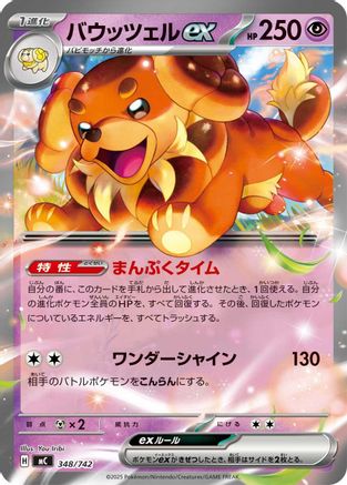 Dachsbun ex (348/742) - Start Deck 100 Battle Collection Start Deck 100 Battle Collection Pokemon Japanese Single  Squirtle Squad Card Shop.